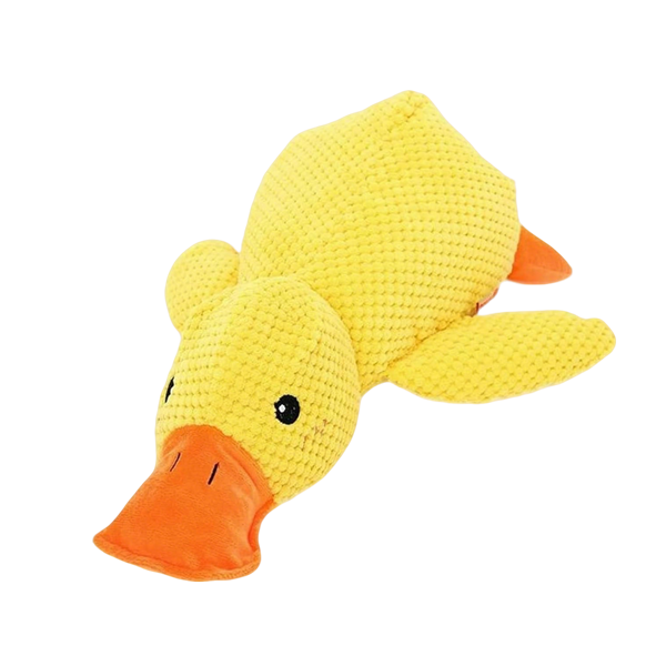 Sherum Calm Duck